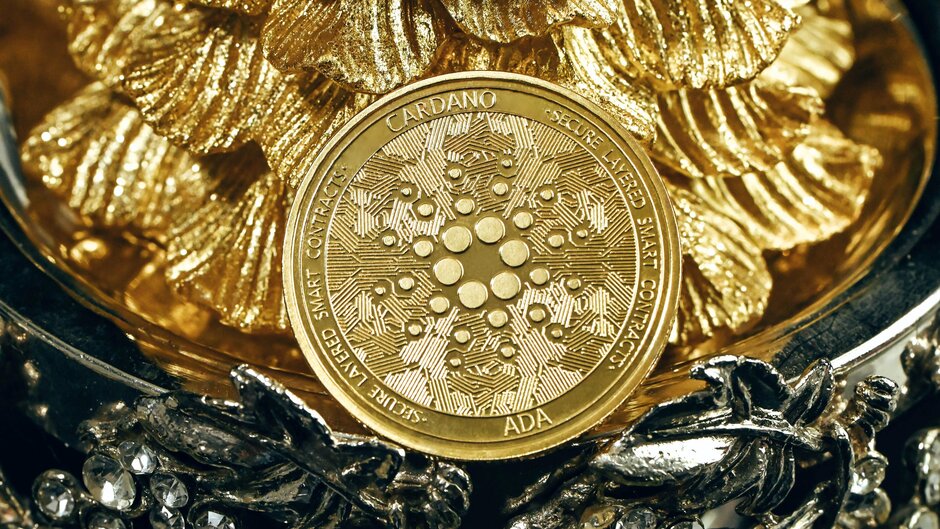 This is why Cardano whales are panic selling