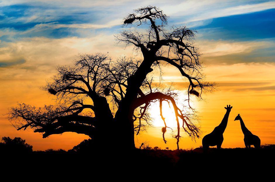 USD/ZAR drops and tests weekly lows near 14.60