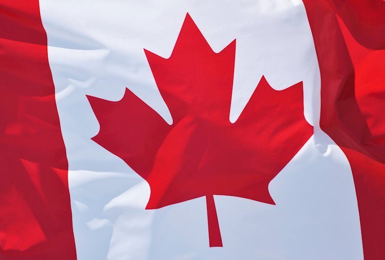 canadian flag 17503719 Large