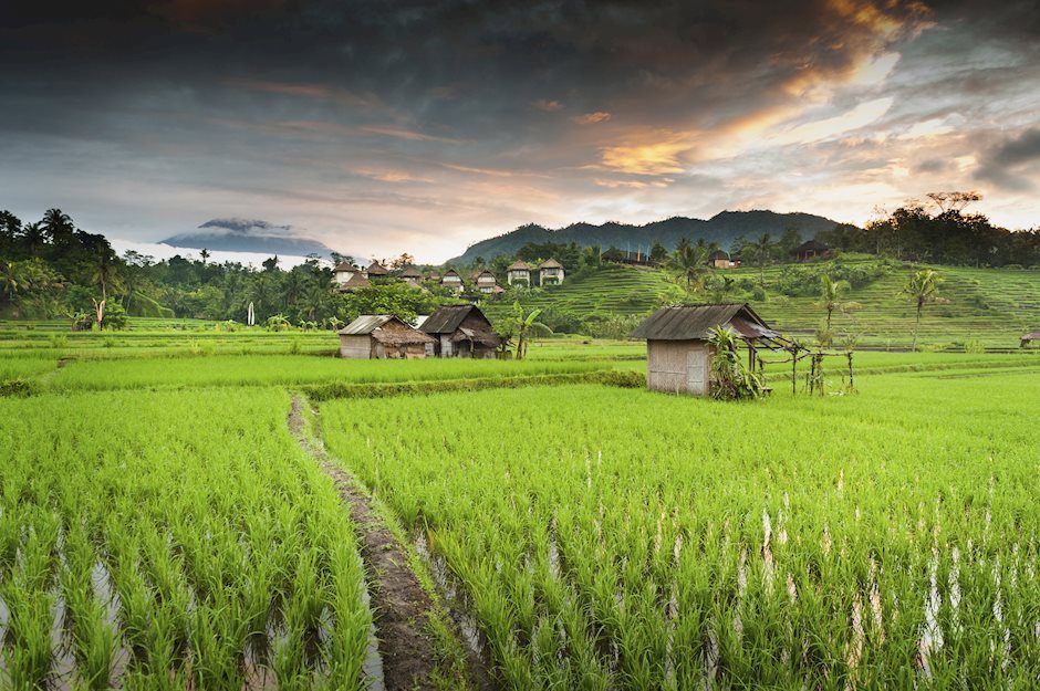 FTX token price drops as lawyers call out SBF for another crime