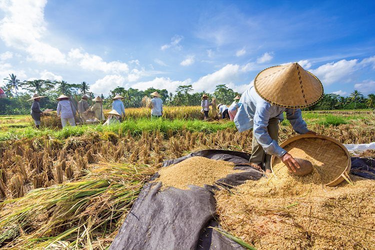 Indonesia: Inflasi semakin meningkat di bulan April