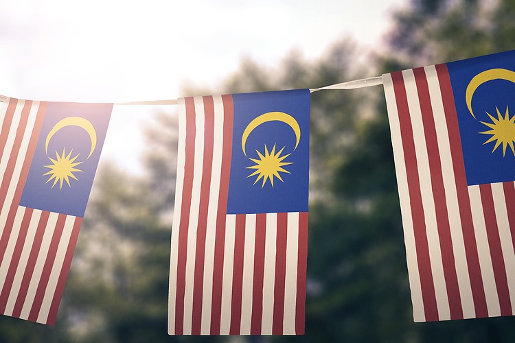 malaysia flag Large