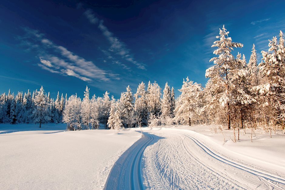 Todo lo que debes saber sobre el test de preferencias de sostenibilidad de MiFID II