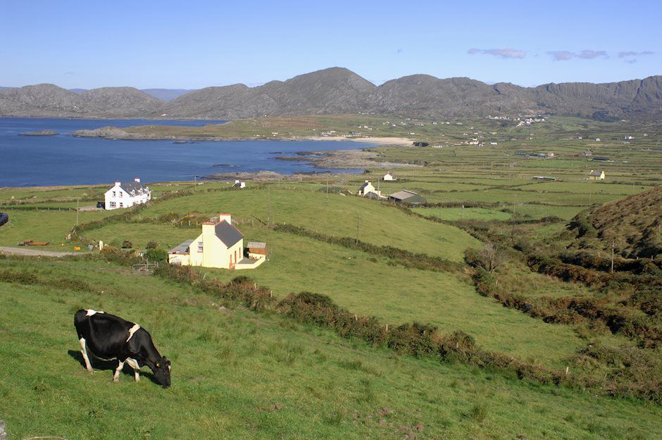 Brexit: Coveney dice que el acuerdo se puede lograr esta semana