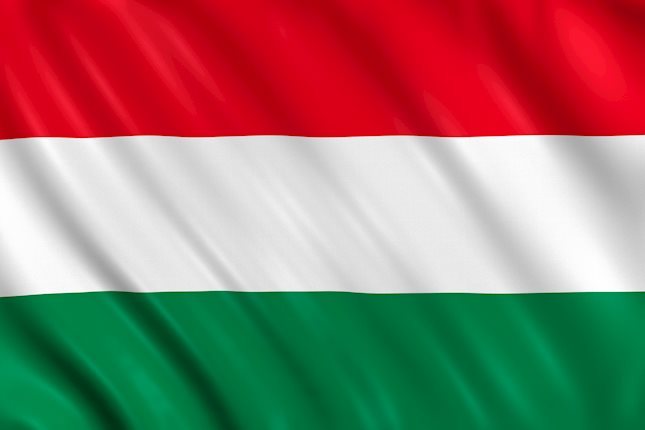 In addition to the general development linked to its high beta with euro movements, today's interest rate decision by the Hungarian central bank (MNB) is also of interest for the Forint. 