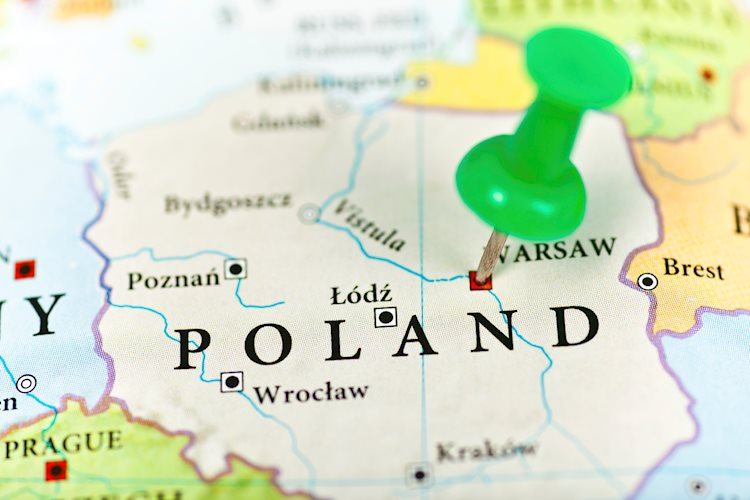 Польский злотый ослабнет с текущего уровня в 2024-2025 годах c Commerzbank