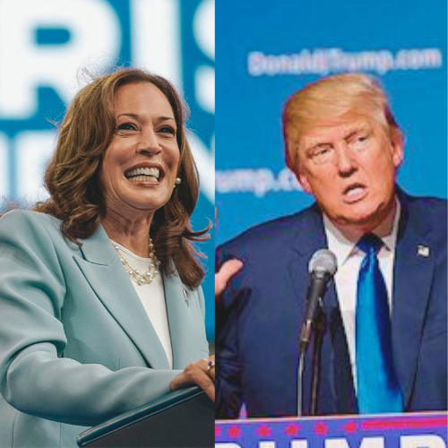 How markets will react to the US election results