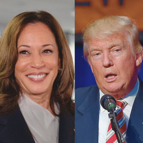 Pre-election comment: The US election rests on a knife-edge