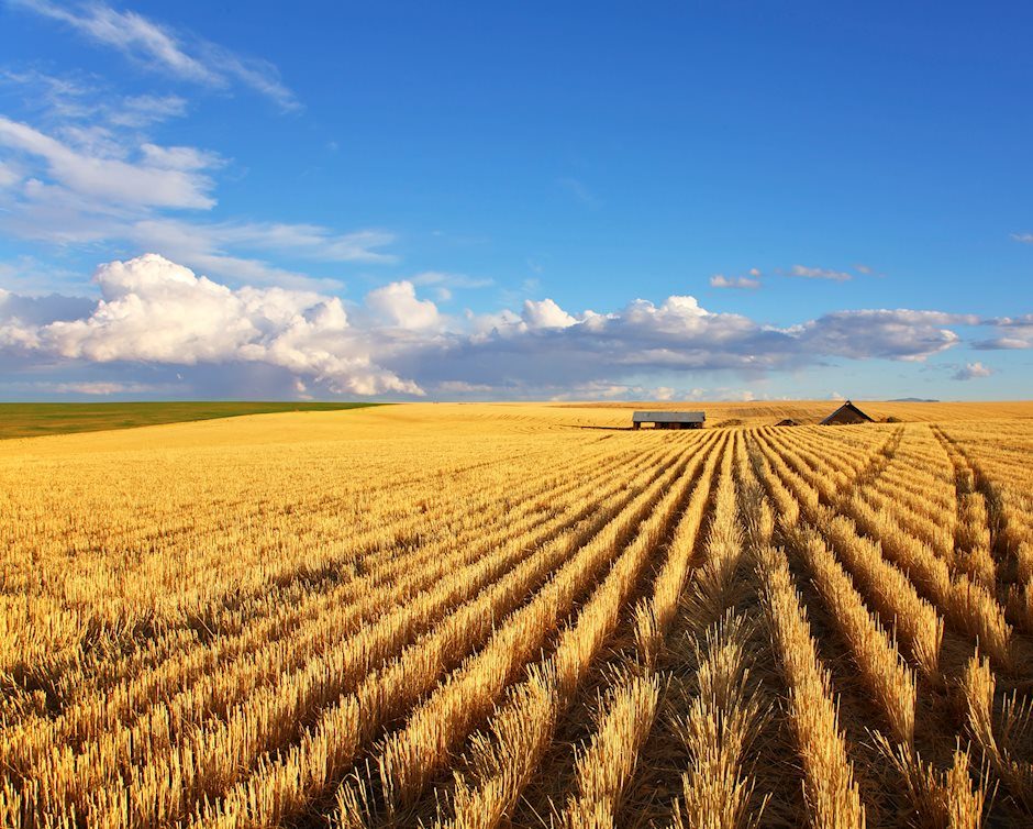 $ADM: Buying opportunity in agriculture stock ADM