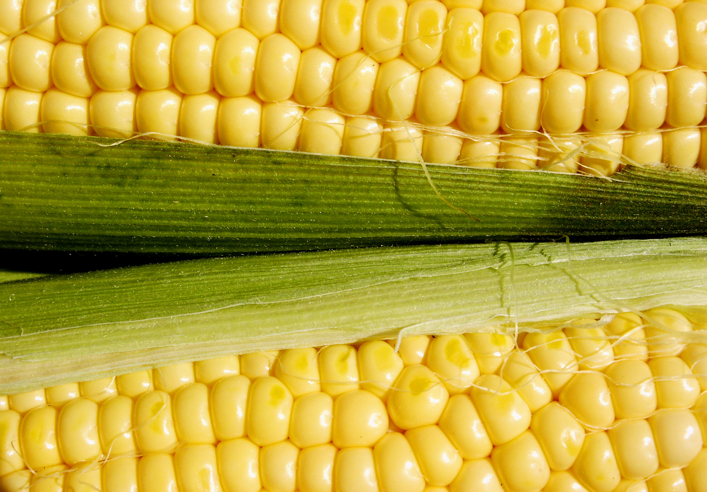 Corn and Beans have continued their upside trajectory in May
