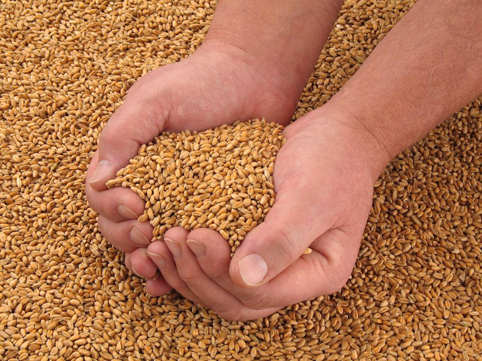 How the commodity market could impact FX in 2021