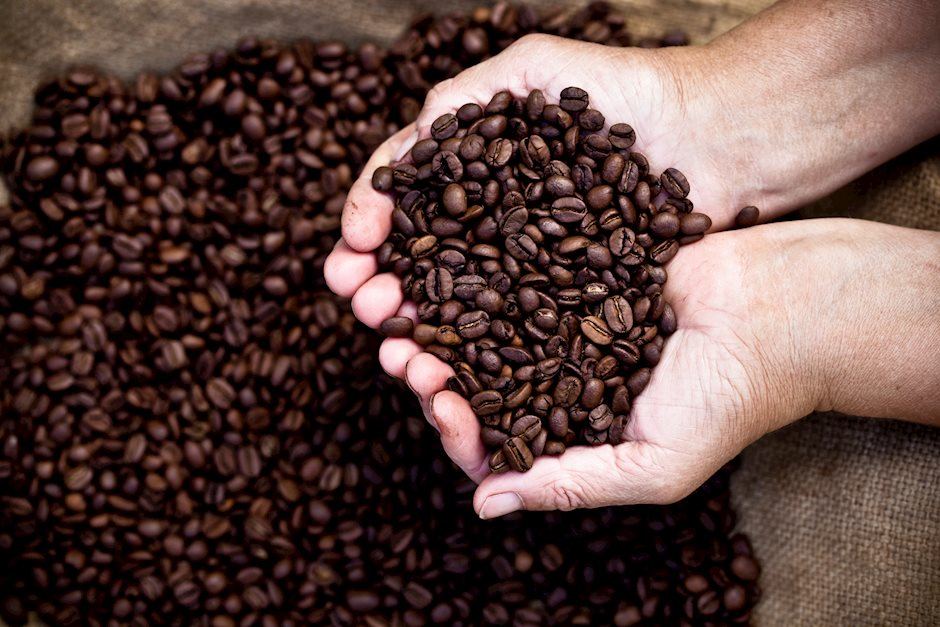 Commodities: Signs of a maturing cycle, prices to correct lower through 2022 – Westpac