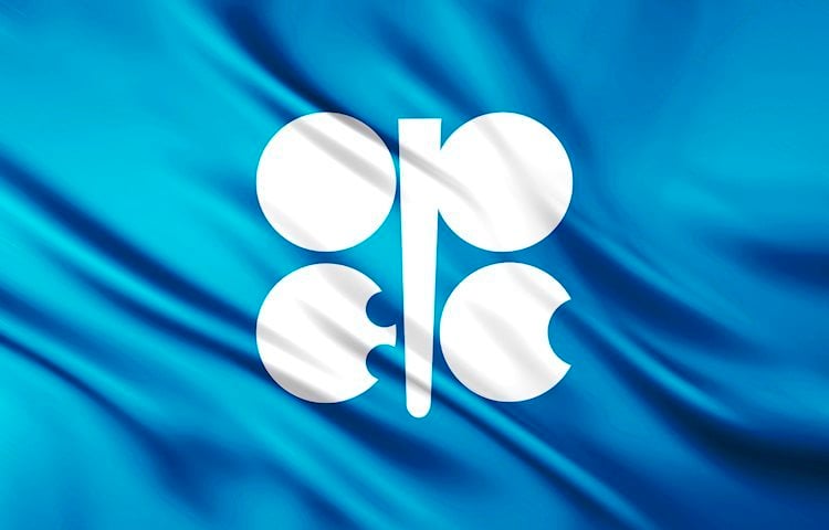 OPEC: The industry faces great challenges on multiple fronts – Mohammad Barkindo