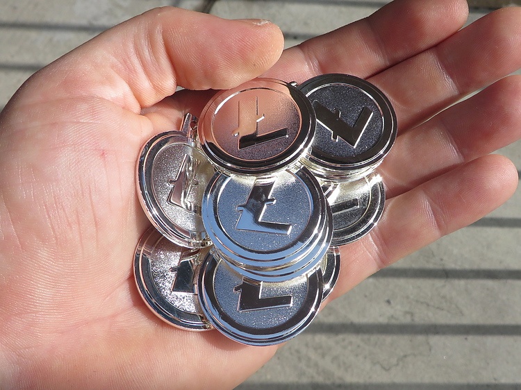 Litecoin Macro count suggests $20 and $10 lows – FXStreet