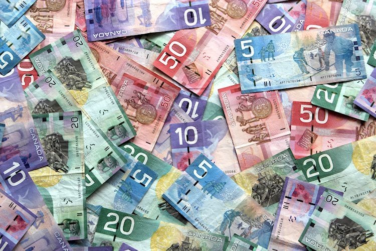 USD/CAD rebounds to two-week highs after US and Canadian data