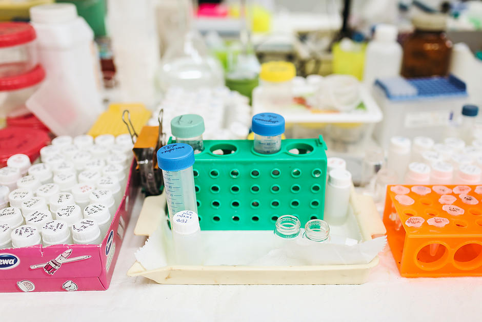 Amazon, Alphabet, Apple, Tesla Facebook & Square technical  analysis Elliott Wave forecast [Video]