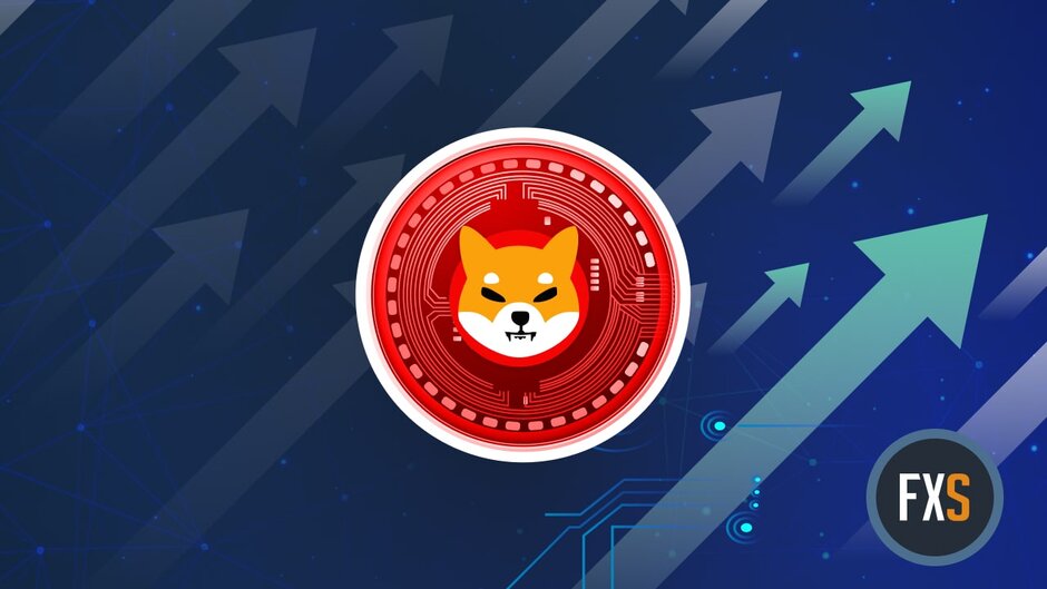 How you could double your capital with Shiba Inu price