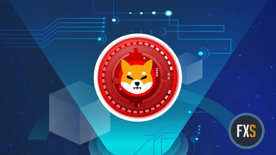 Will meme coins Shiba Inu, Dogecoin make comeback after steep decline?