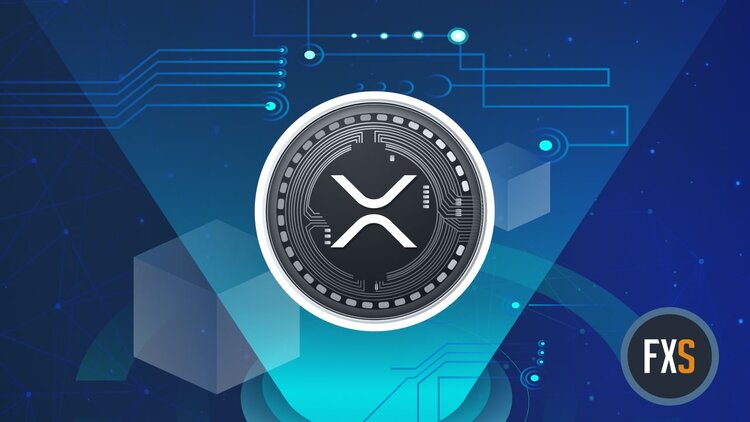 XRP whales enter buying spree making a breakout to $1 inevitable - Vimarsana News