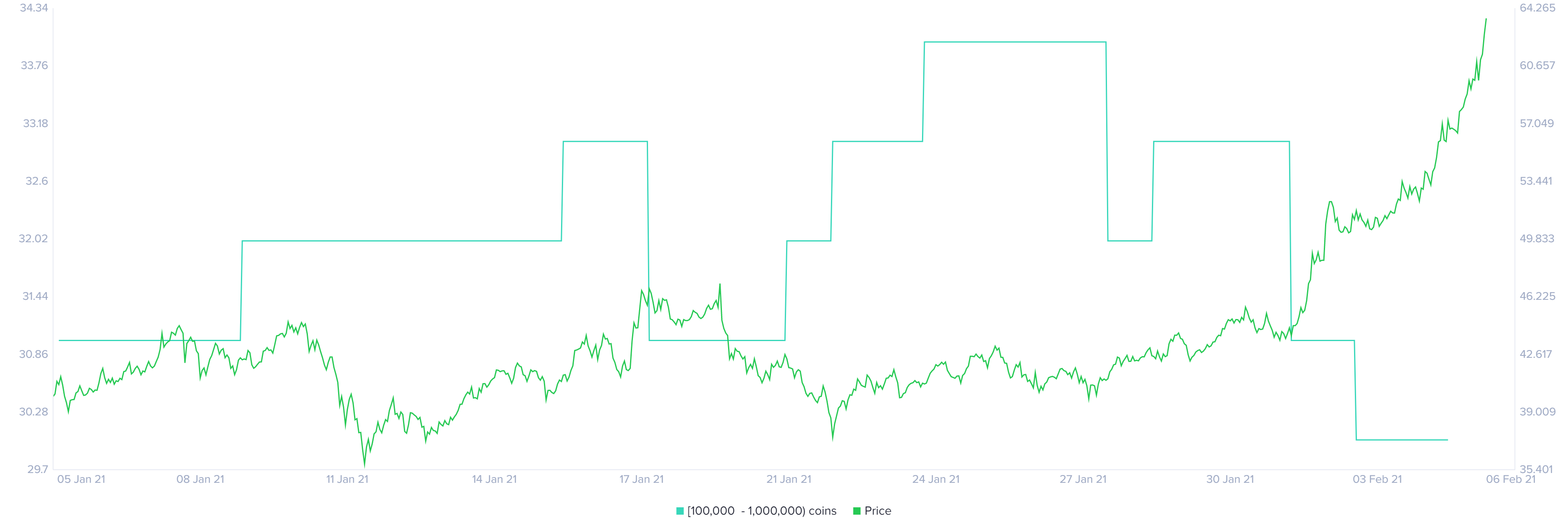 Binance Coin holder distribution