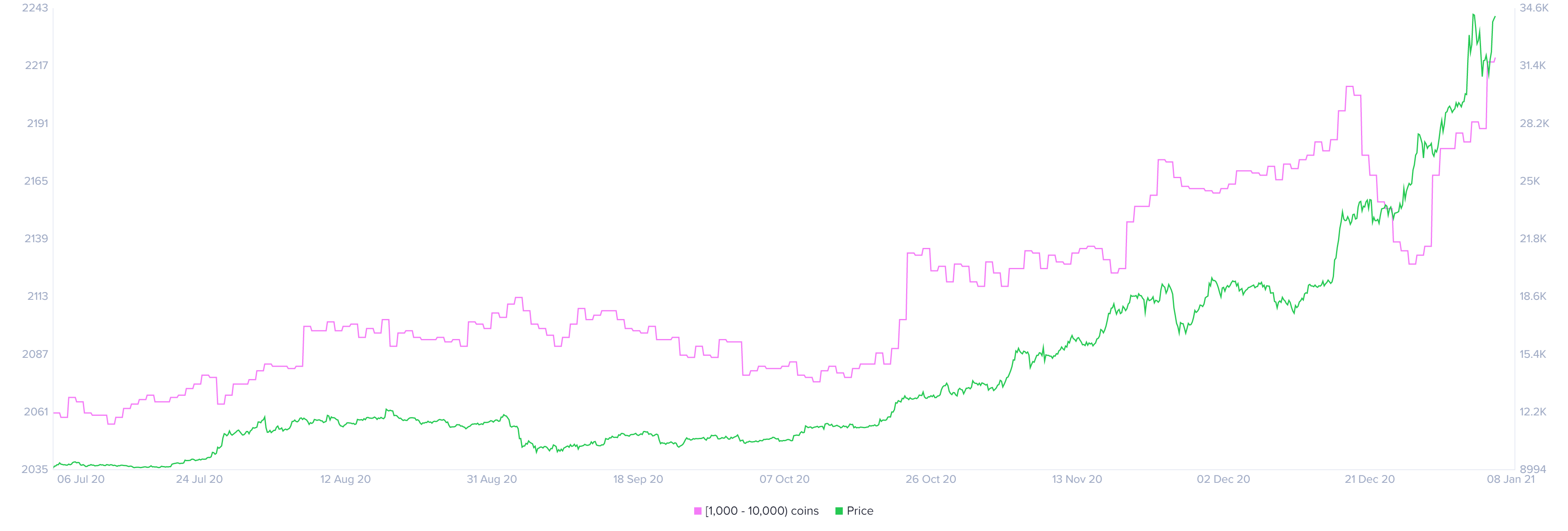 Bitcoin holder distribution chart