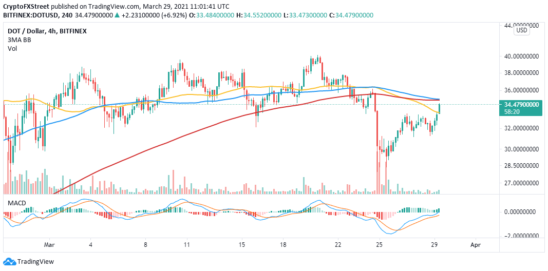 price of dot crypto