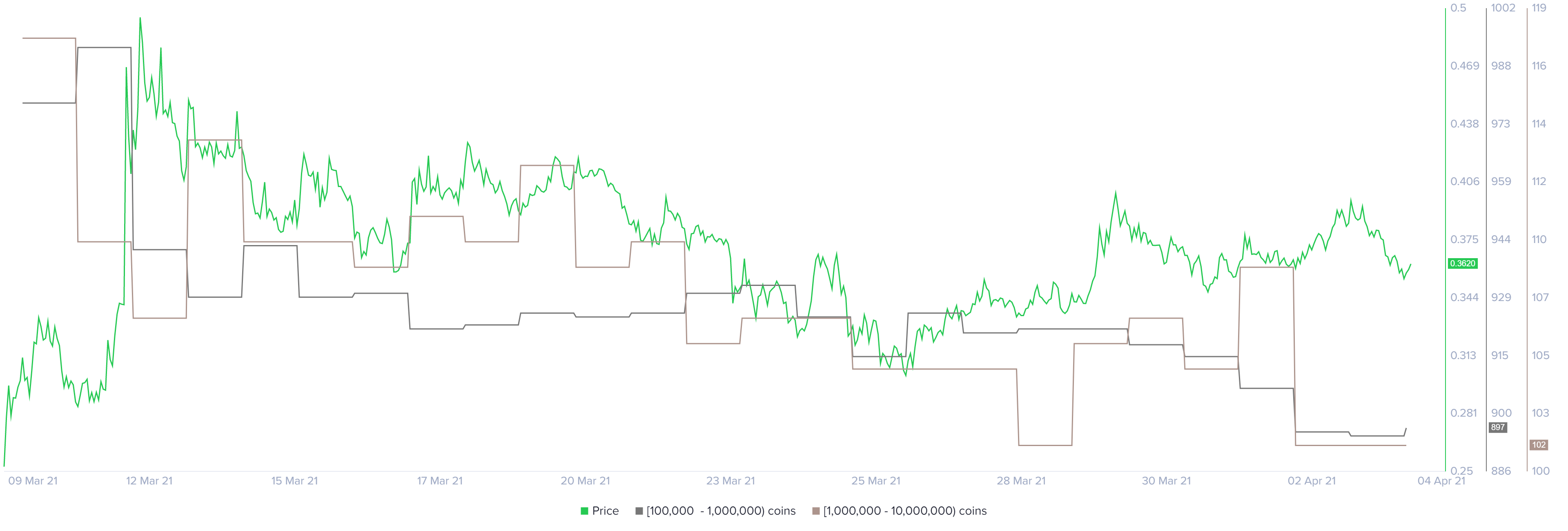 MATIC whale holder distribution chart