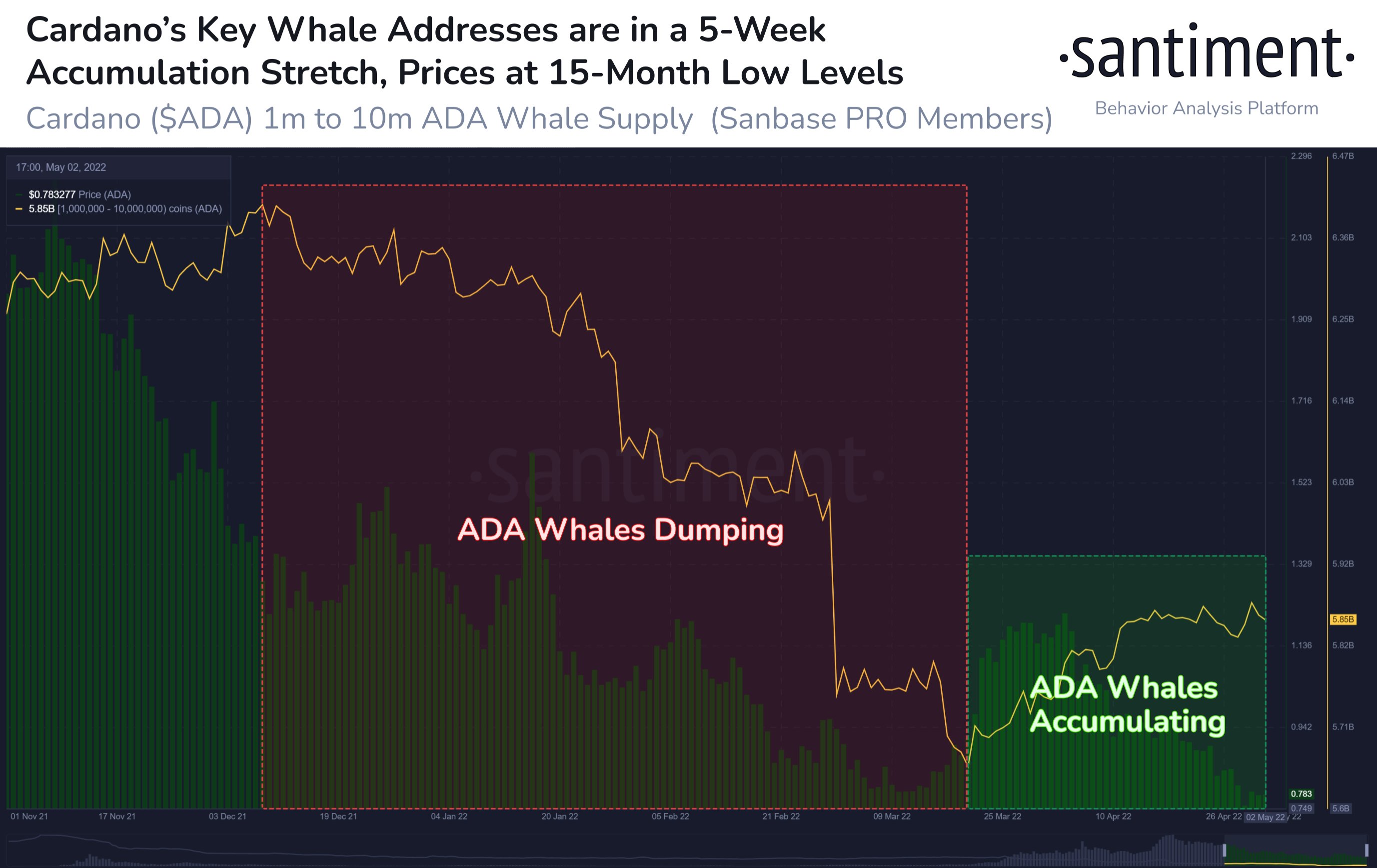 Cardano key whale addresses