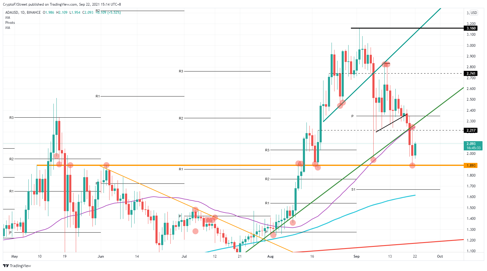 Cardano