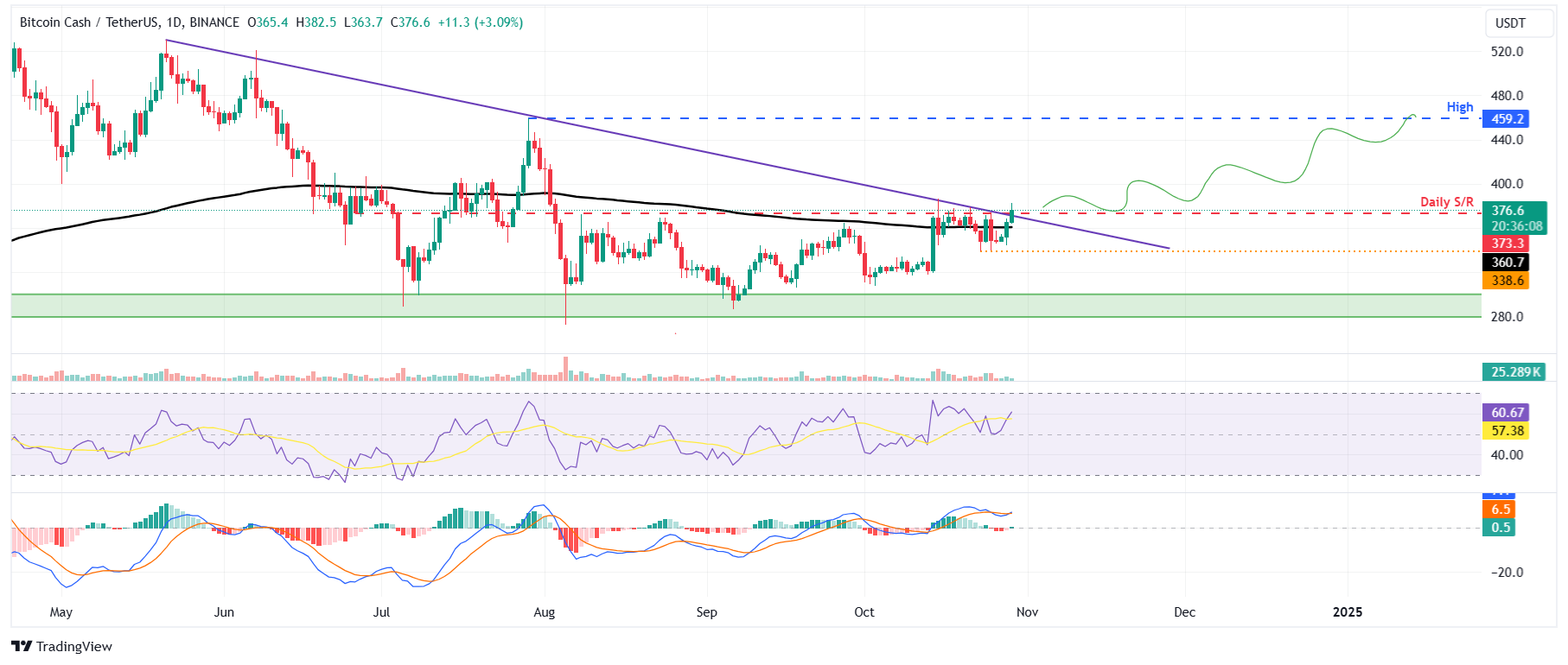 BCH/USDT daily chart