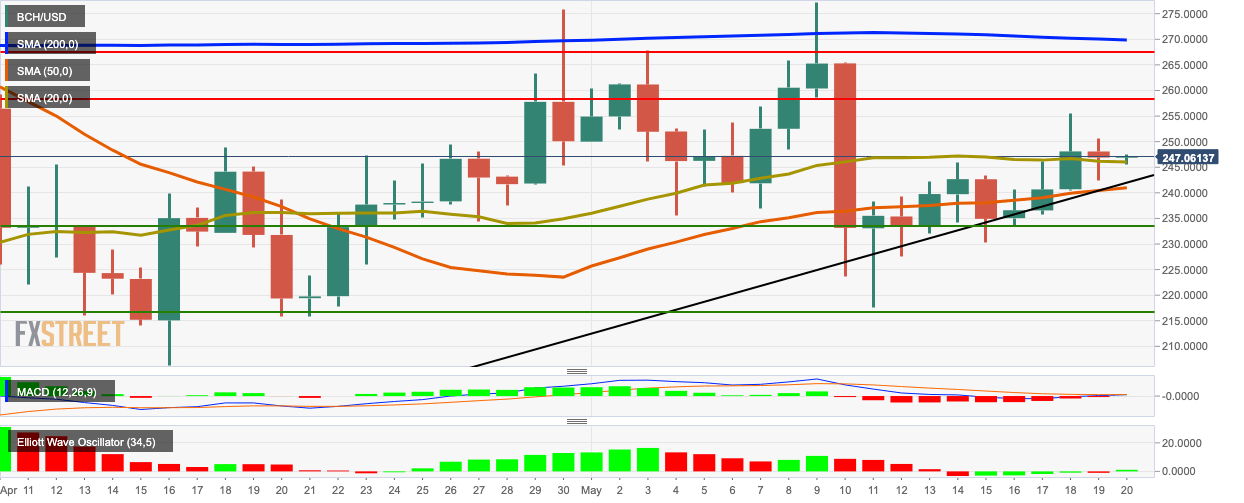 BCH/USD daily chart