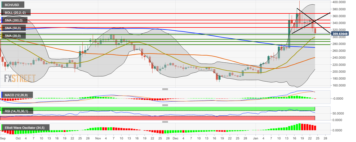 BCH/USD daily chart