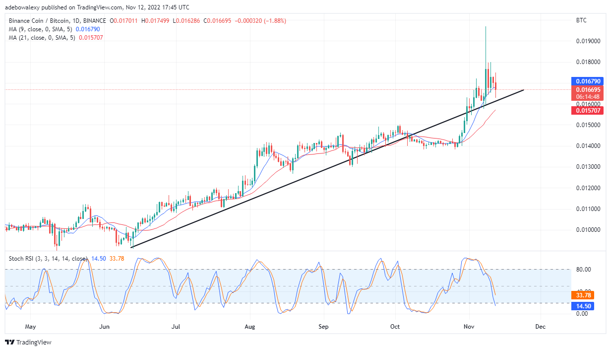 BNBBTC price chart