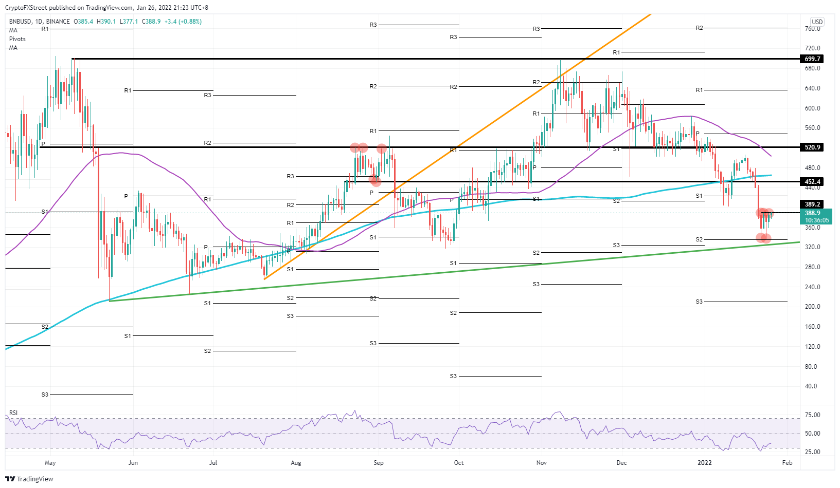 BNB/USD daily chart