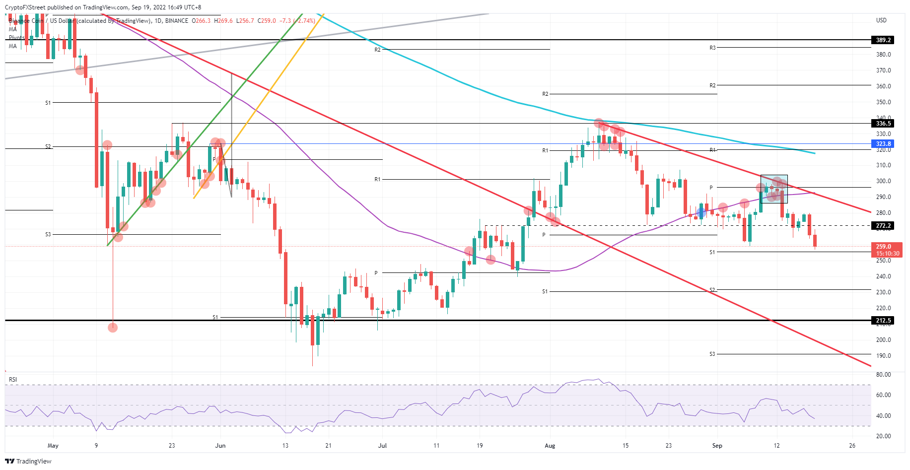 BNB/USD Daily chart