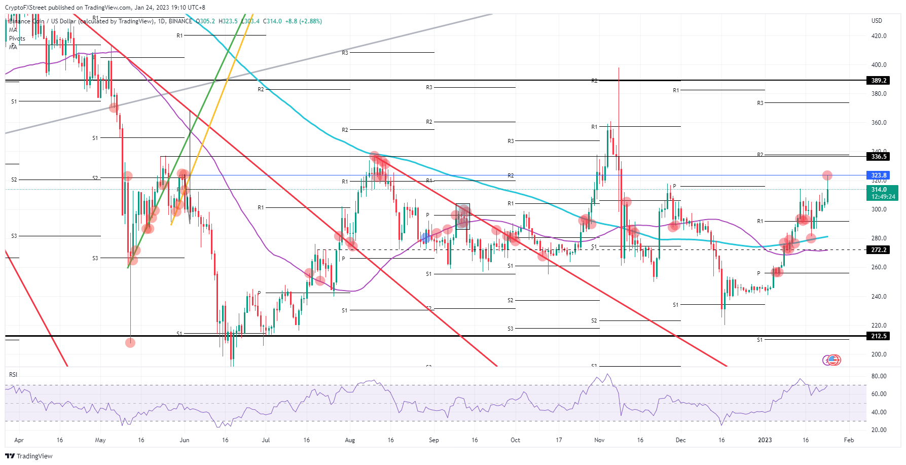 BNB/USD daily chart