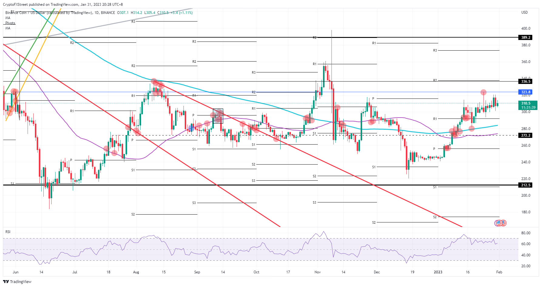 BNB/USD daily chart