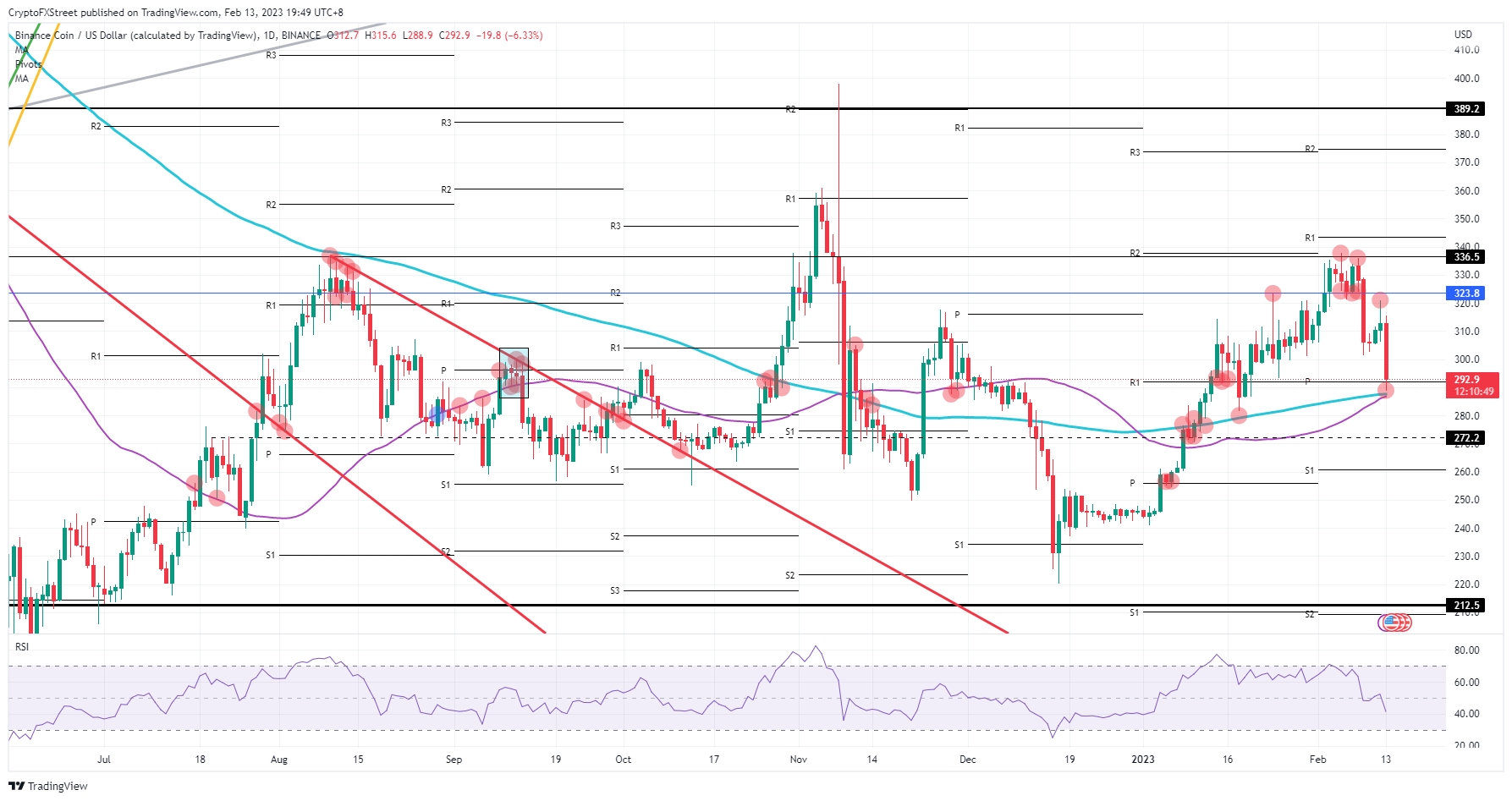 BNB/USD daily chart