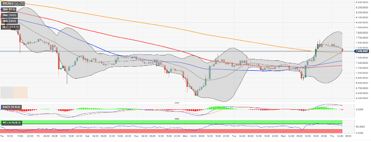 Bitcoin 24 Hour Chart