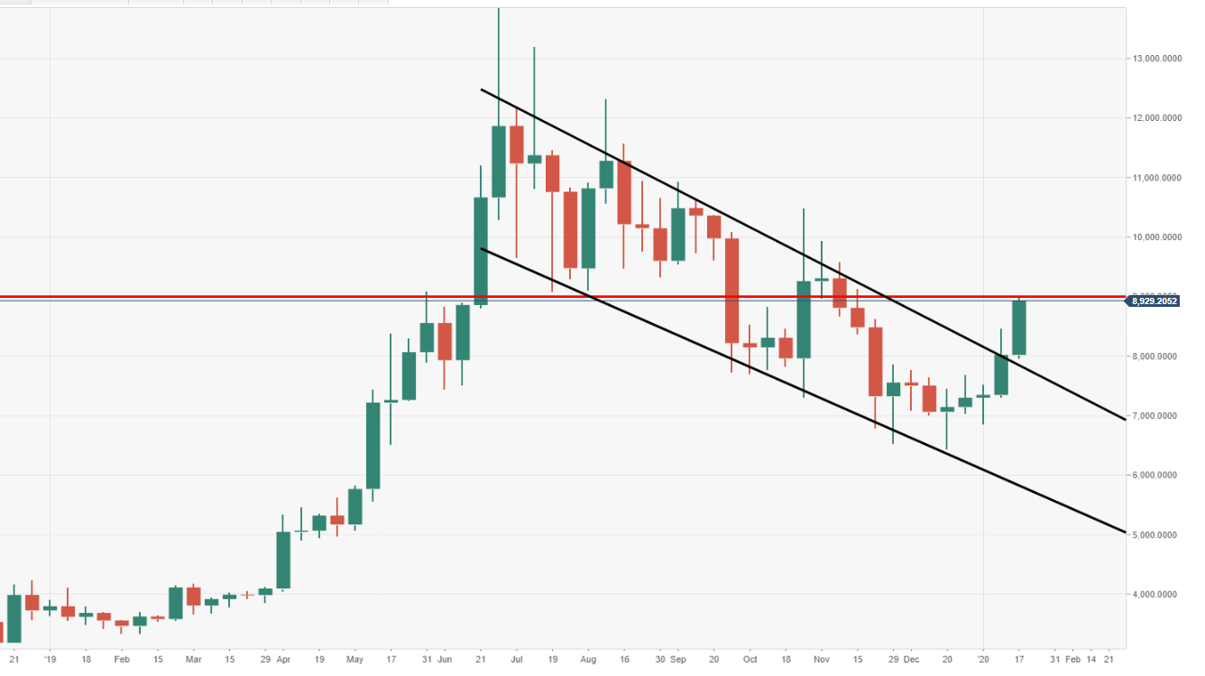 Harmonic Trading Patterns