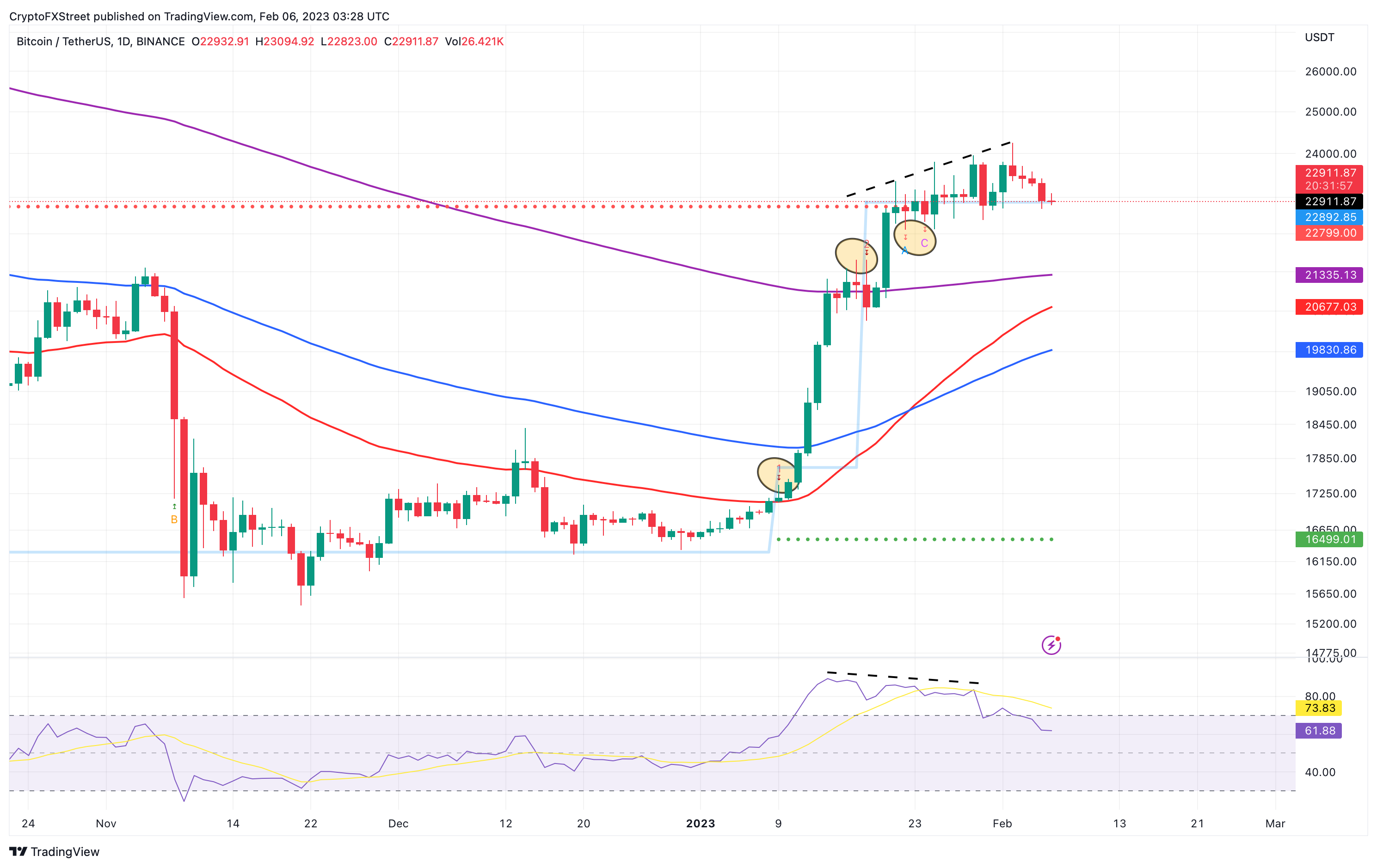 BTC/USD 1-day chart