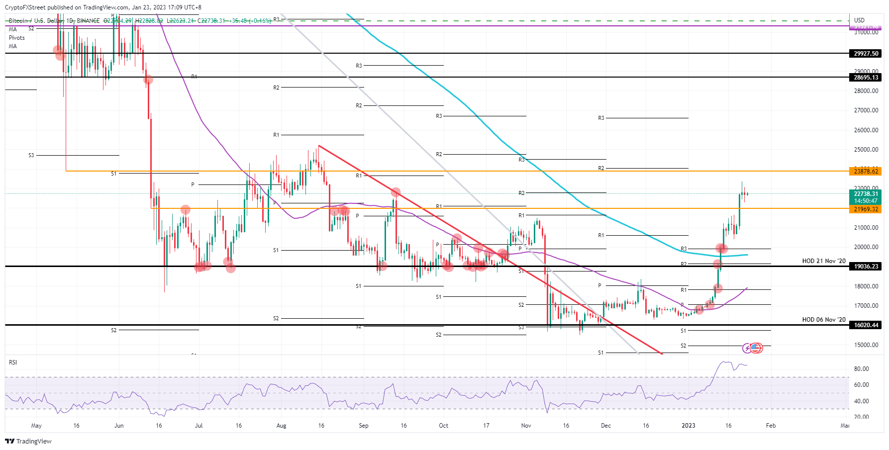 btc daily forcast