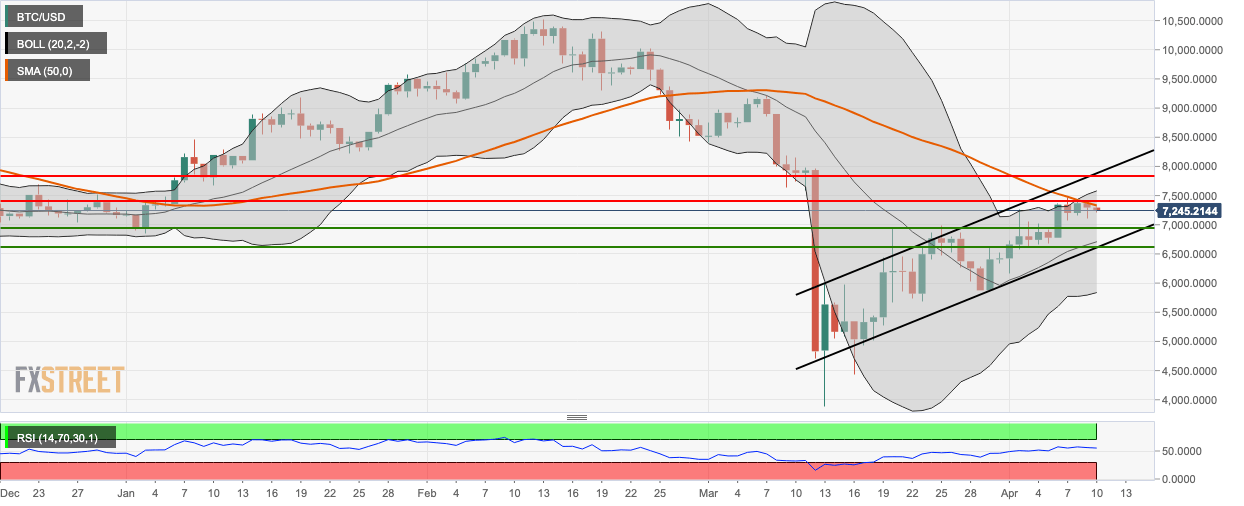 BTC/USD daily chart