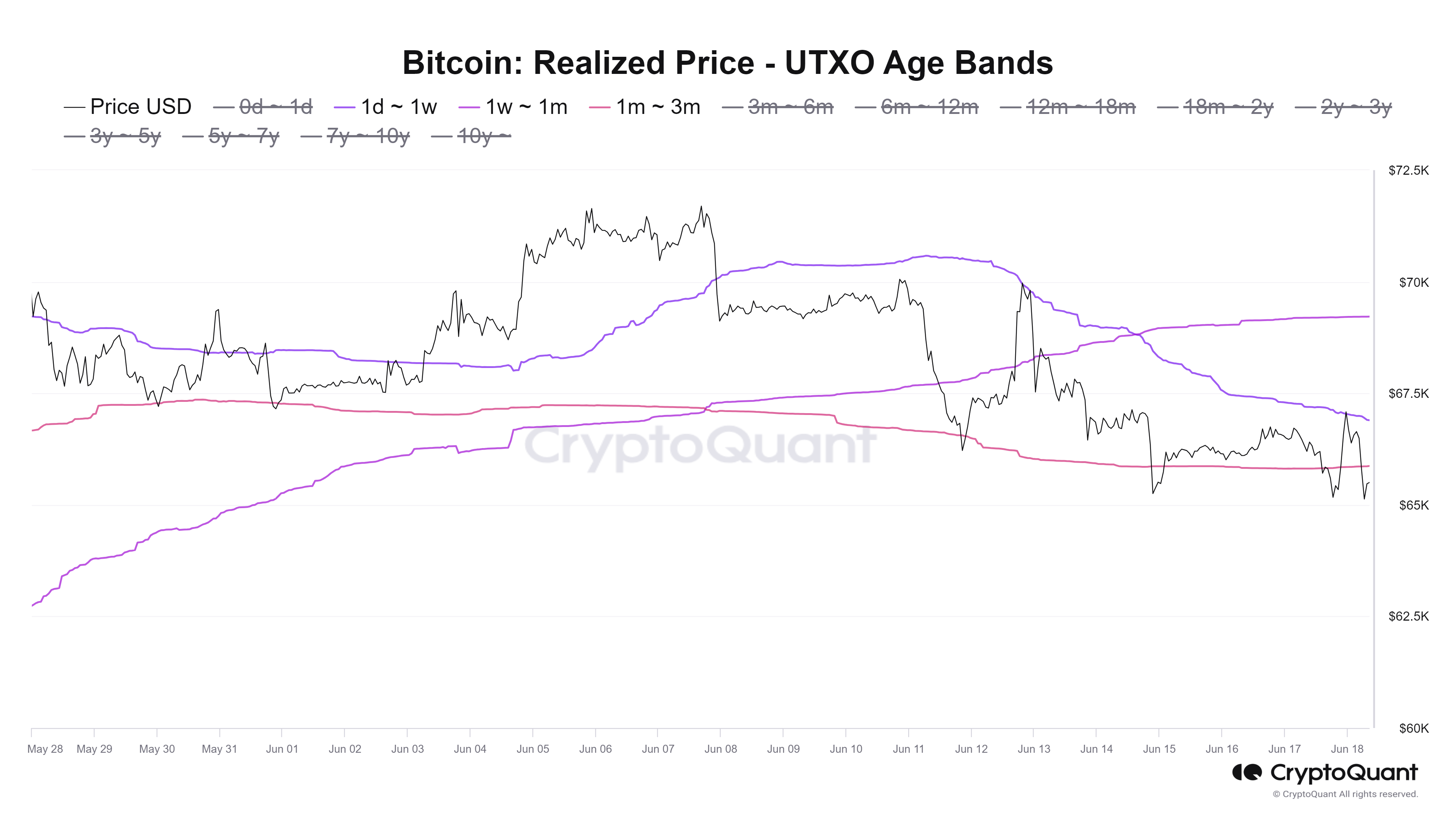 BTC UTXO Realized Price Age Distribution chart