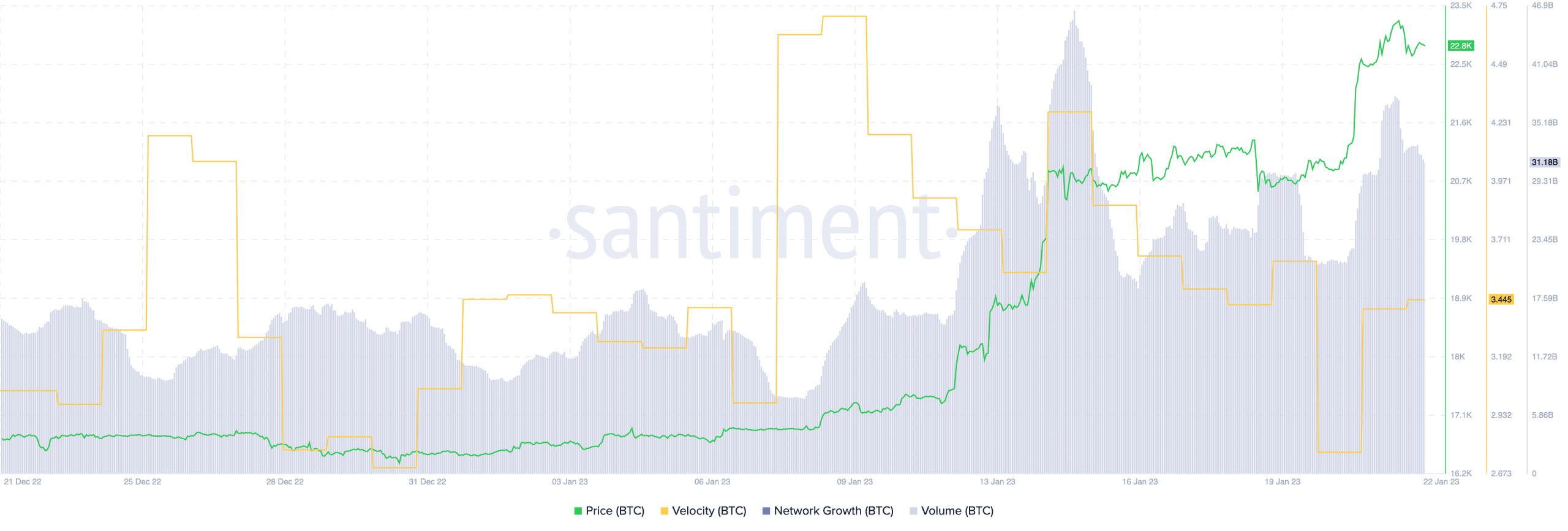 Bitcoin velocity