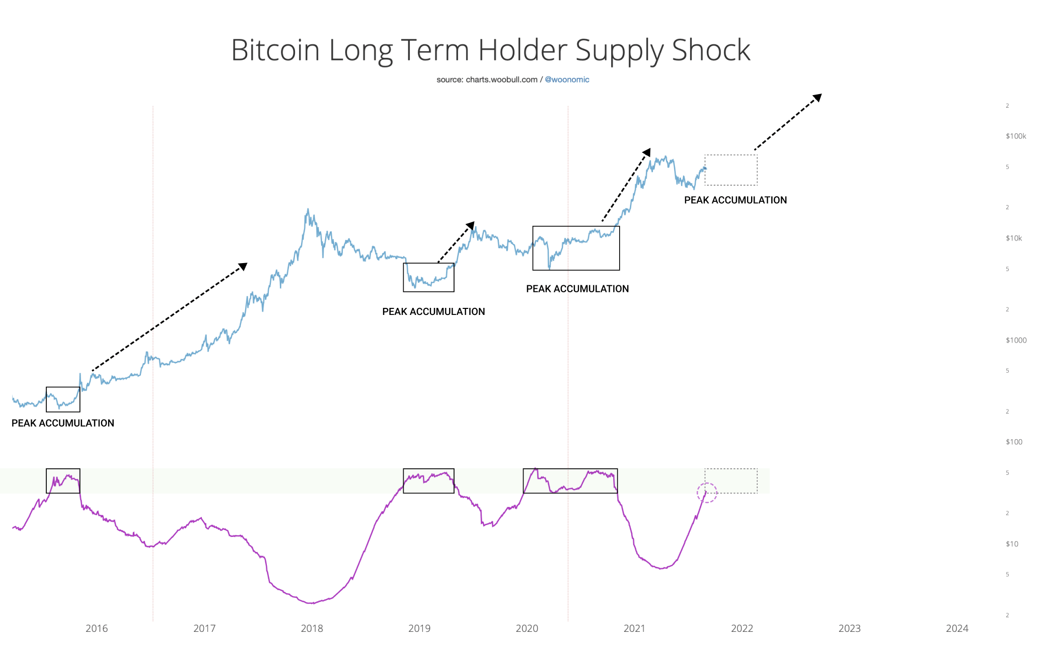 Bitcoin Long Term Holder Supply Shock