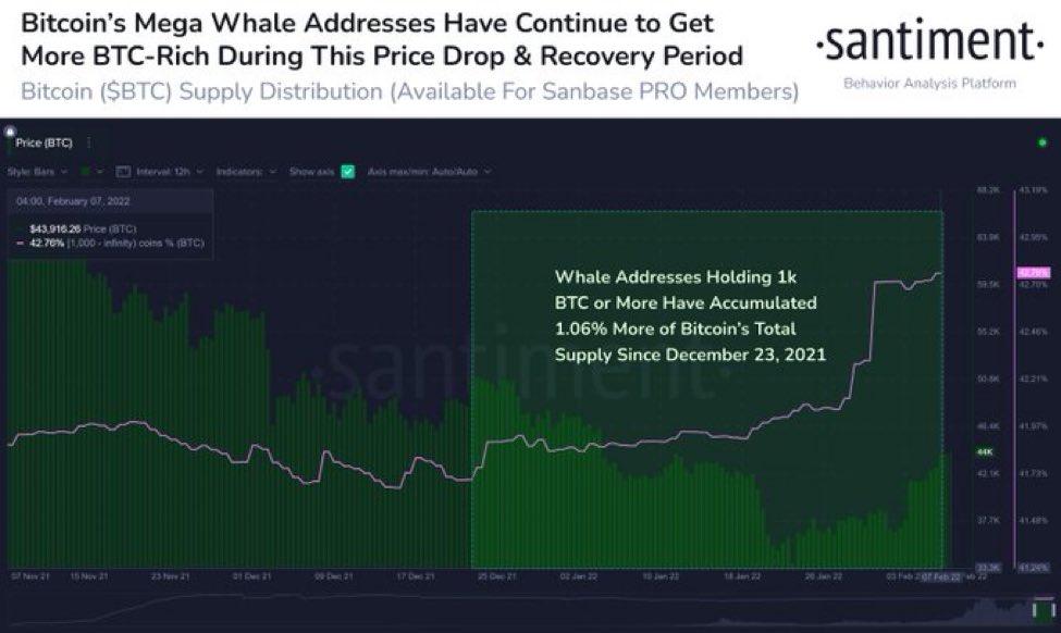 Bitcoin accumulation by mega whales