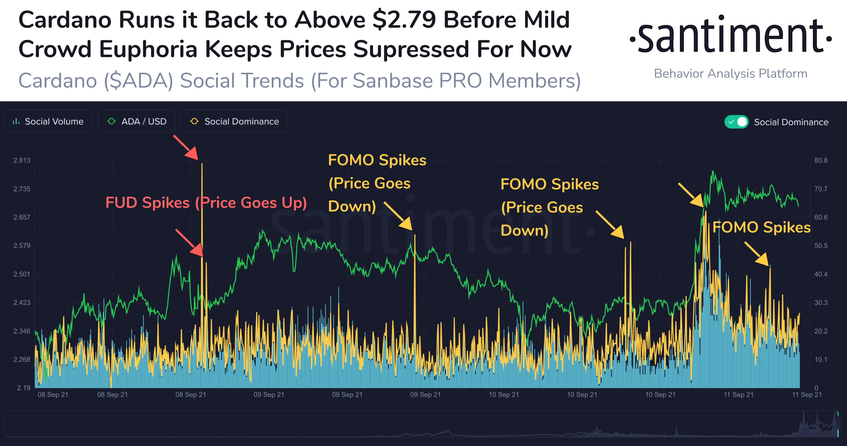 Crowd Euphoria (Cardano)