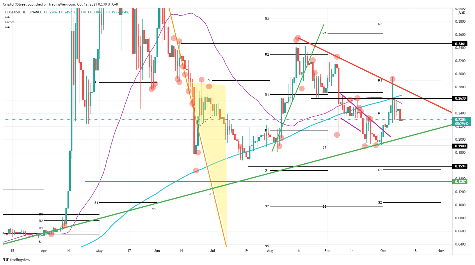 DOGE/USD daily chart