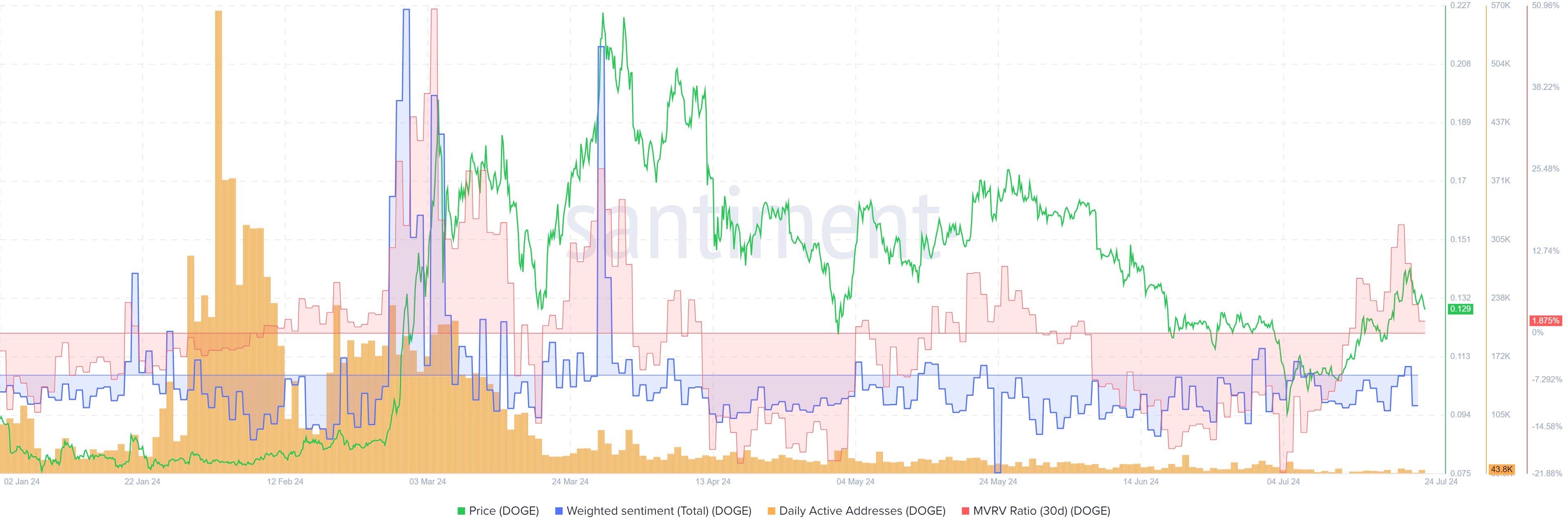 DOGE On-chain Metrics